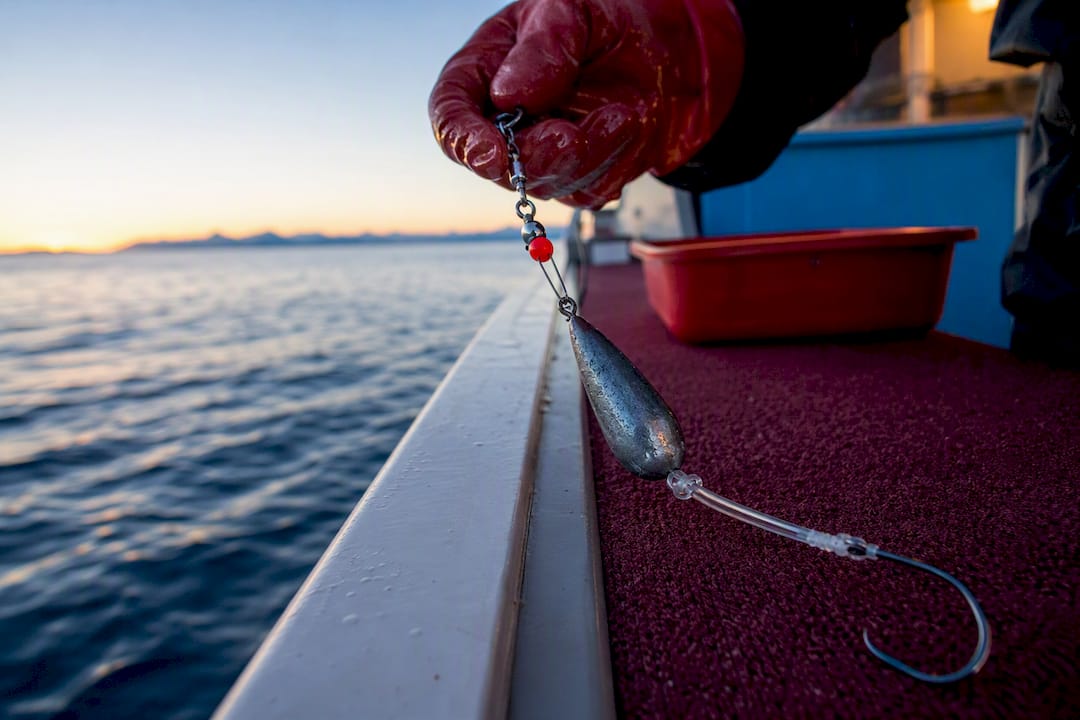 Halibut rig being lowered beside offshore boat