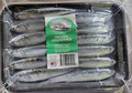 D & G BAIT CO GREEN LABEL ANCHOVIES TRAY