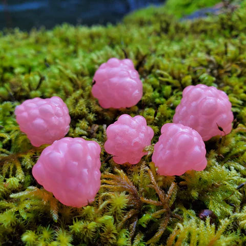 ROBOLIZE OKIE DRIFTER 'BUBBLEGUM' #4