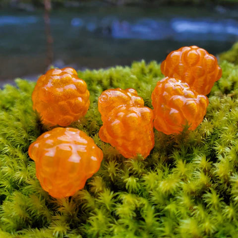 ROBOLIZE OKIE DRIFTER 'CRUSH' #4