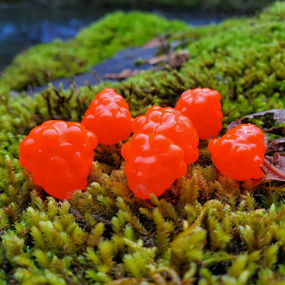 ROBOLIZE OKIE DRIFTER 'POPPING PEACH' #4